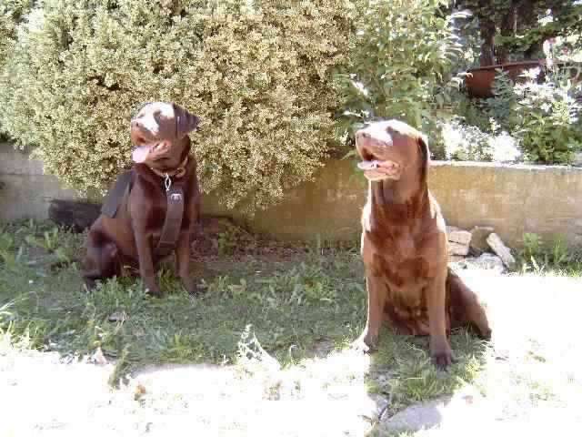 Brianna and her mum Meg
