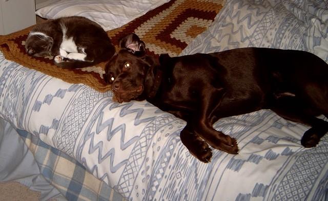 Brianna and Snaggles