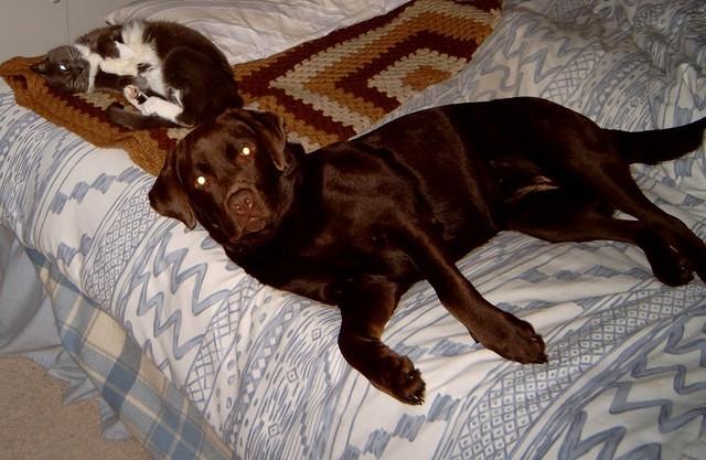 Brianna and Snaggles