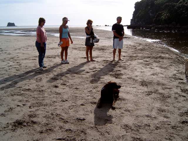 Robyn, Brianna, Bella and friends owners