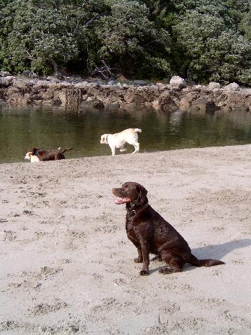 Brianna, Bella and friends