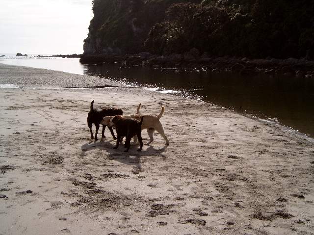 Brianna, Bella and friends