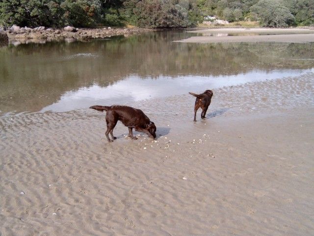 Brianna and Bella