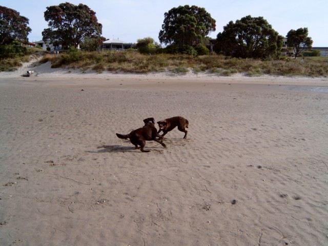 Brianna and Bella