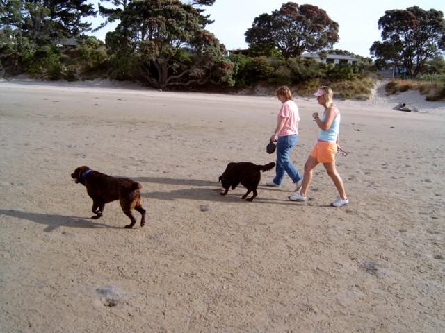 Robyn, Brianna, Bella and owner