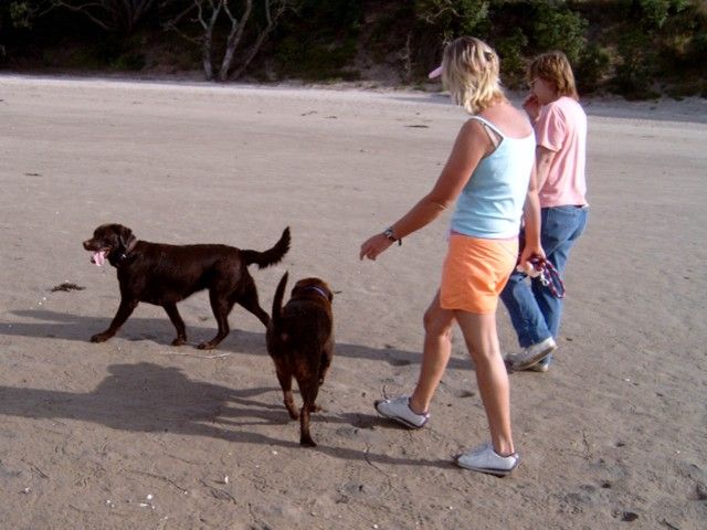 Robyn, Brianna, Bella and owner