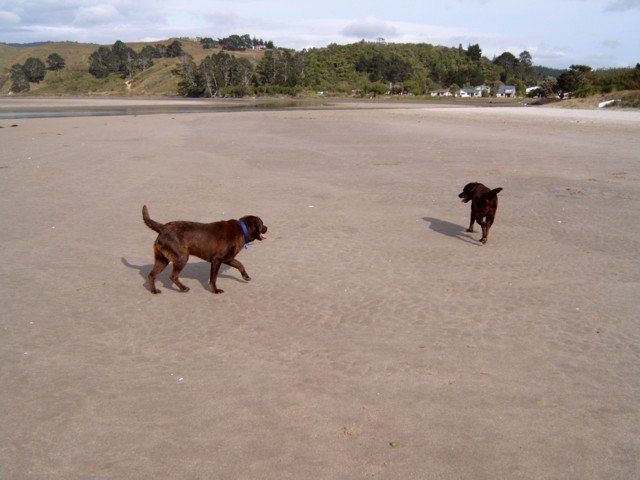 Brianna and Bella