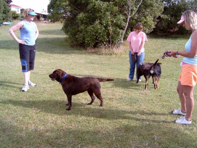 Robyn, Brianna, Bella and owner