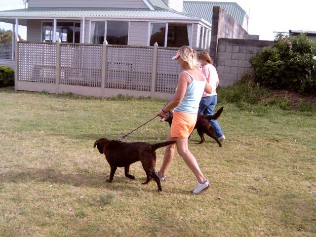 Robyn, Brianna, Bella and owner