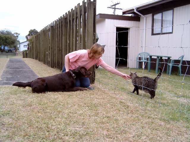 Robyn, Brianna and Bingle