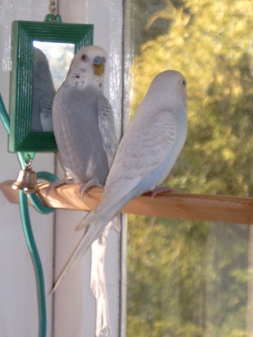 Casper meets Allie