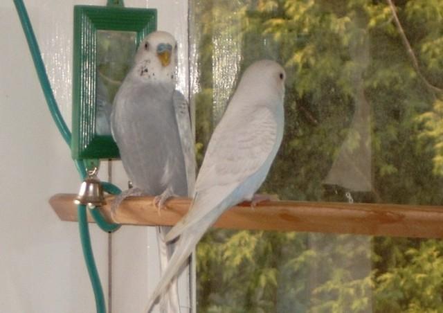 Casper meets Allie