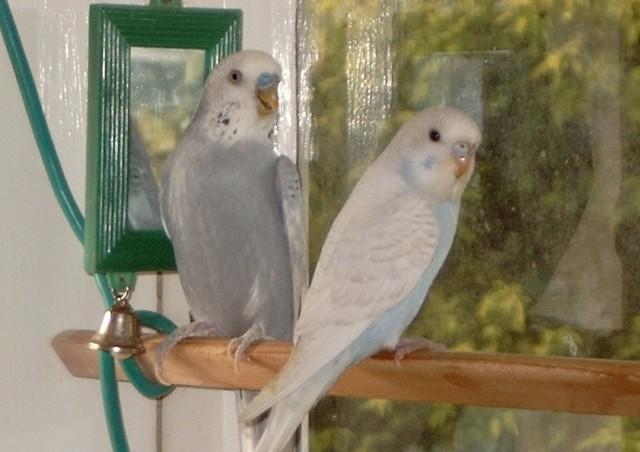 Casper meets Allie
