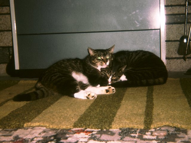 Pee Wee and Tigger