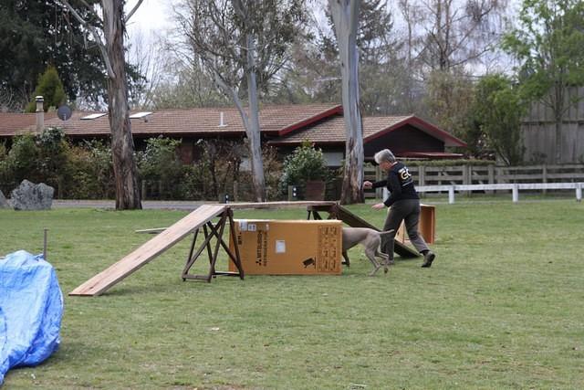 Fun Agility. Ruth