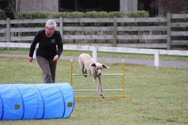 Fun Agility. Ruth