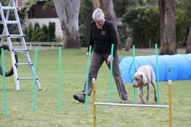 Fun Agility. Ruth