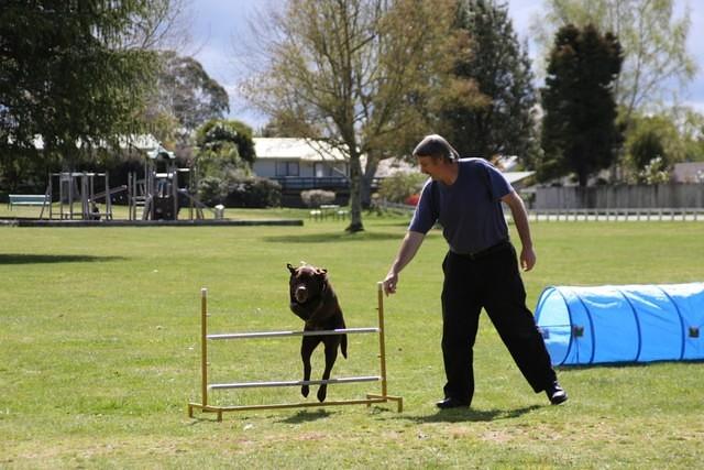 Fun Agility. Stephen and Brianna