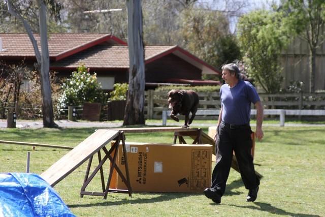 Fun Agility. Stephen and Brianna