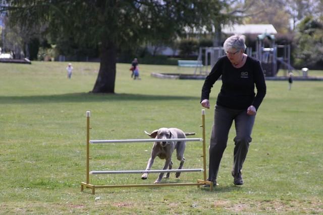 Fun Agility. Ruth
