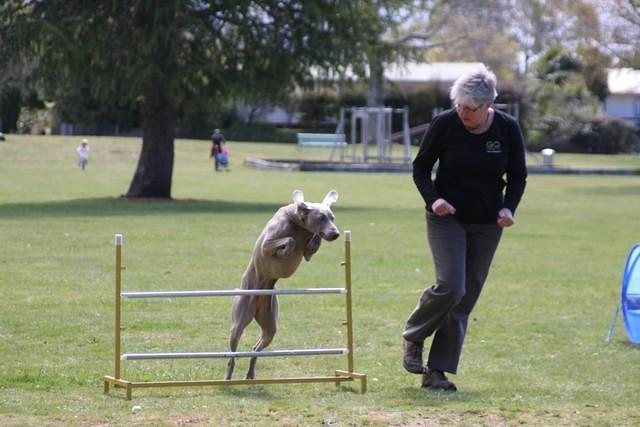 Fun Agility. Ruth