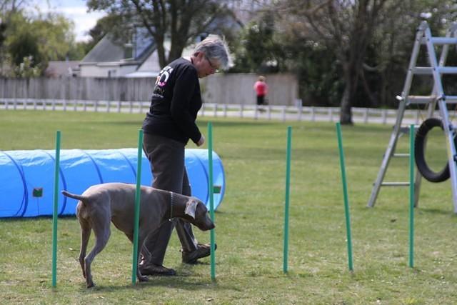 Fun Agility. Ruth