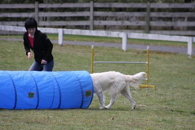 Fun Agility