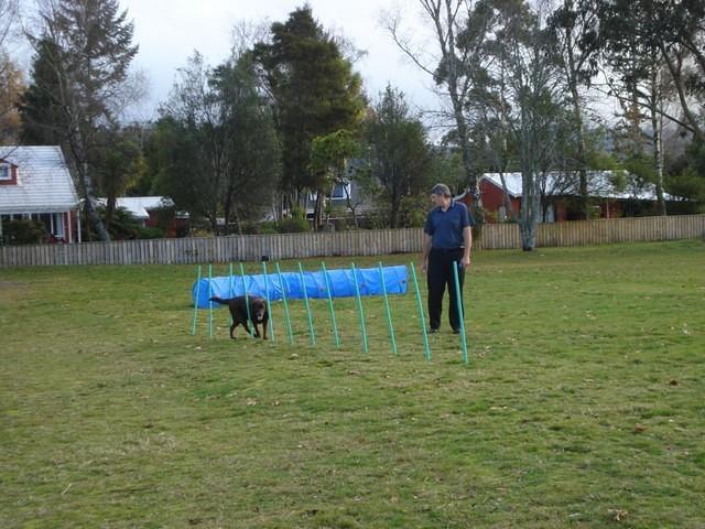 Fun Agility. Stephen and Brianna