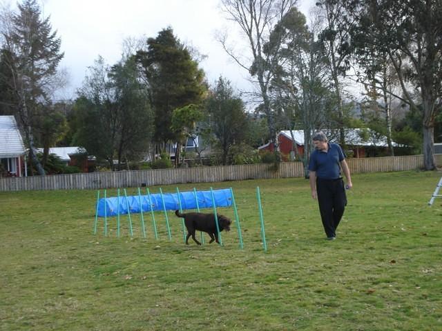 Fun Agility. Stephen and Brianna