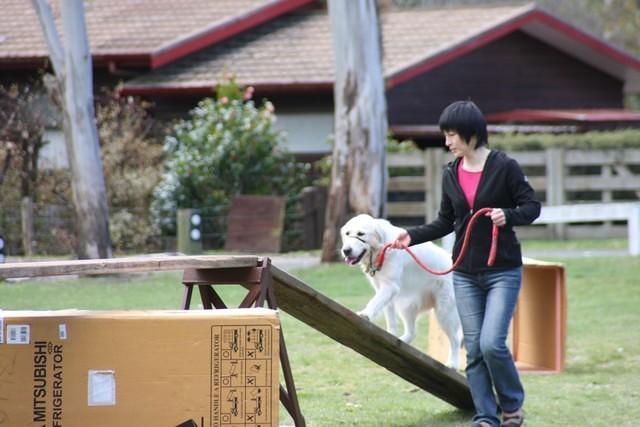 Fun Agility