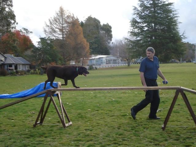 Fun Agility. Stephen and Brianna