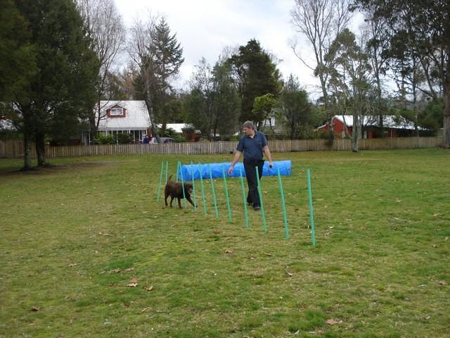 Fun Agility. Stephen and Brianna
