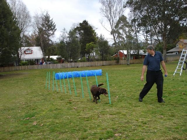 Fun Agility. Stephen and Brianna