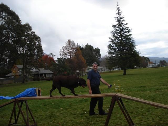 Fun Agility. Stephen and Brianna