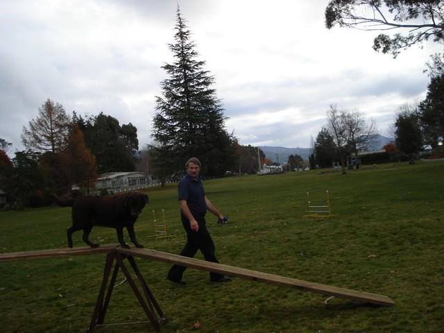 Fun Agility. Stephen and Brianna