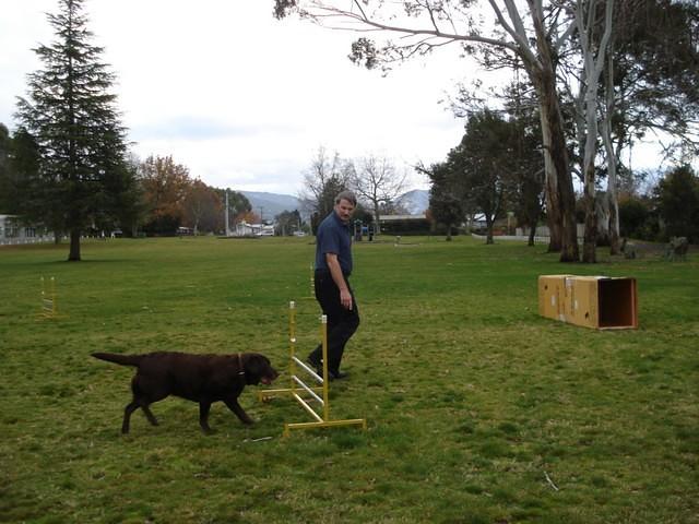 Fun Agility. Stephen and Brianna