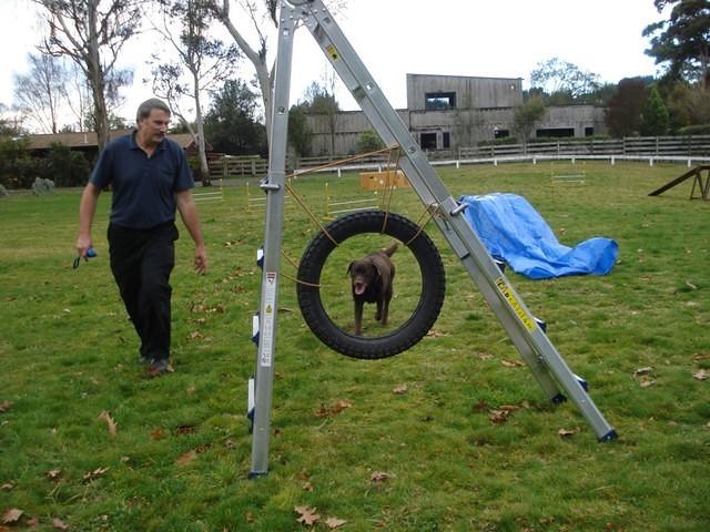 Fun Agility. Stephen and Brianna