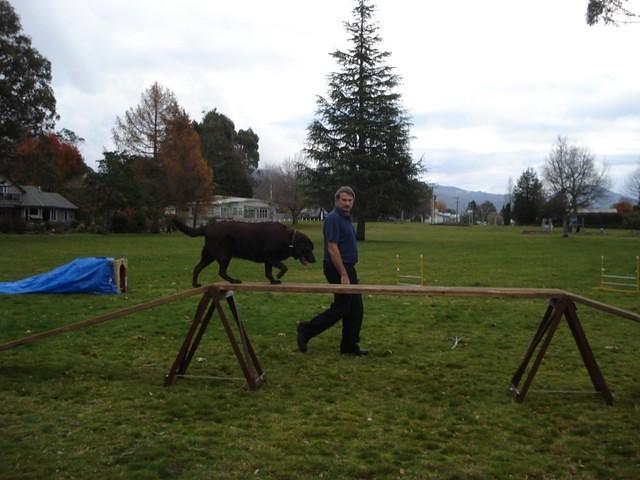 Fun Agility. Stephen and Brianna