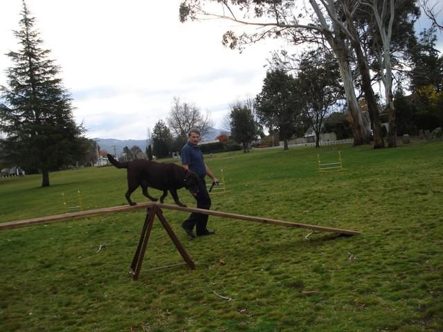 Fun Agility. Stephen and Brianna