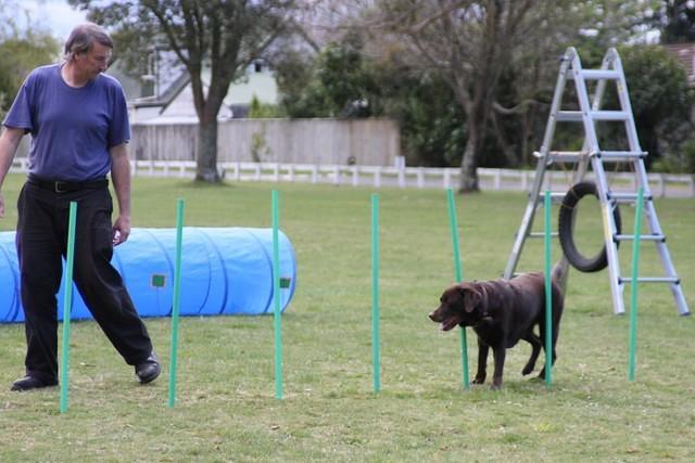 Fun Agility. Stephen and Brianna