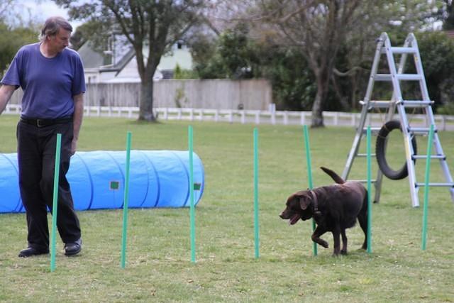 Fun Agility. Stephen and Brianna