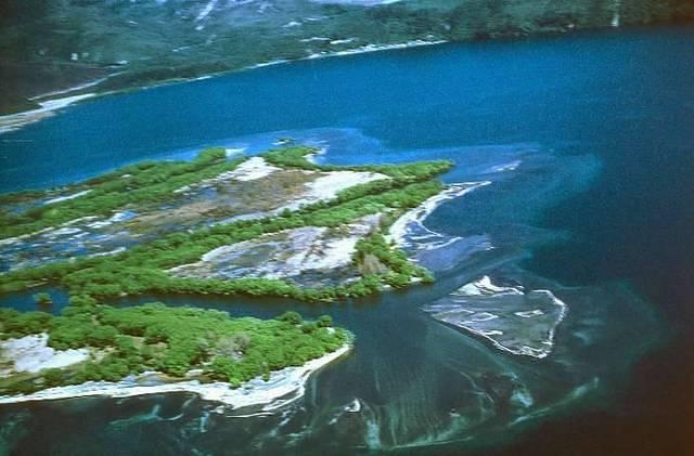 Tongariro River Delta