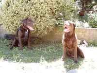 Brianna and her mum Meg