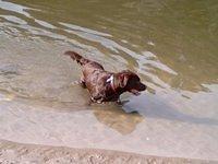 Brianna