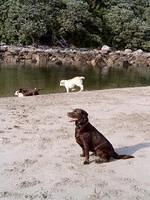 Brianna, Bella and friends