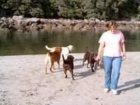 Robyn, Brianna, Bella and friends