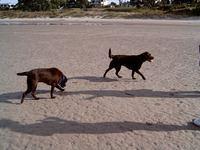 Brianna and Bella