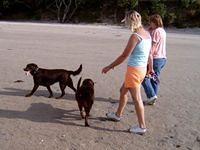 Robyn, Brianna, Bella and owner