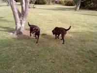Brianna and Bella