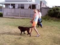 Robyn, Brianna, Bella and owner